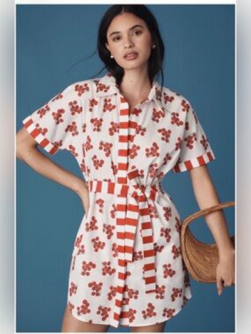 NWT Rachel Antonoff Tomato Print Shirt Dress in Red and White
